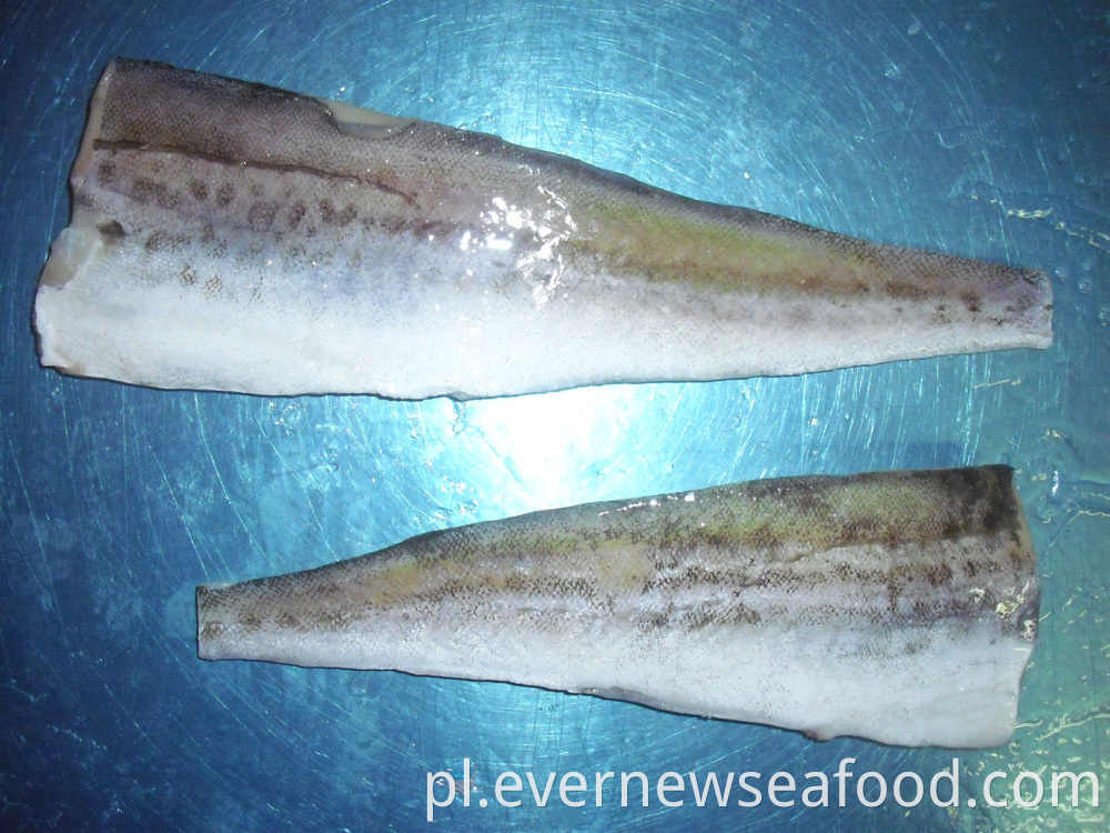 FAO 67 ryby mintaja mrożony filet z mintaja